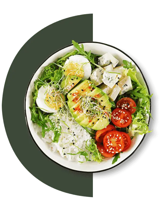 healthy food plate